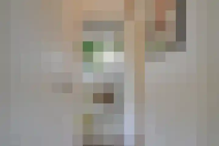 Seringstraat 86 Utrecht thumbnail 22