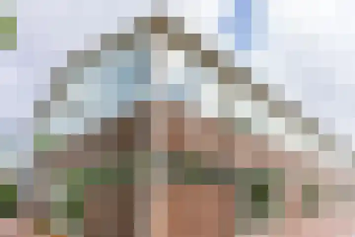 Seringstraat 86 Utrecht thumbnail 31