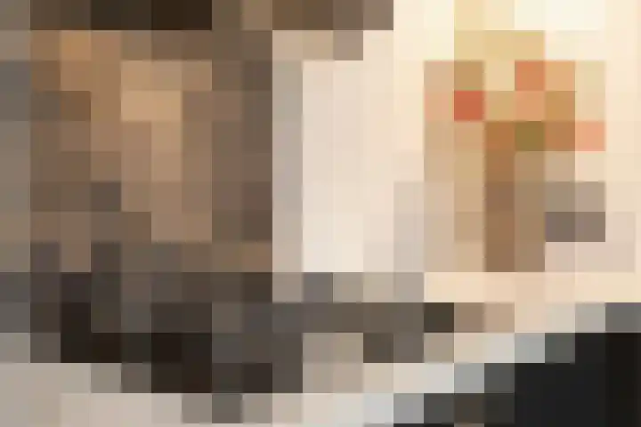 Servaashof 31 Helden thumbnail 14