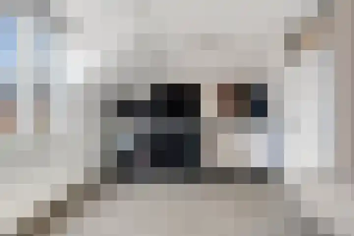 Servaashof 31 Helden thumbnail 21
