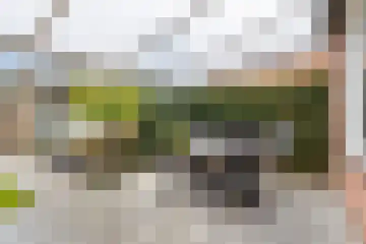Servaashof 31 Helden thumbnail 29