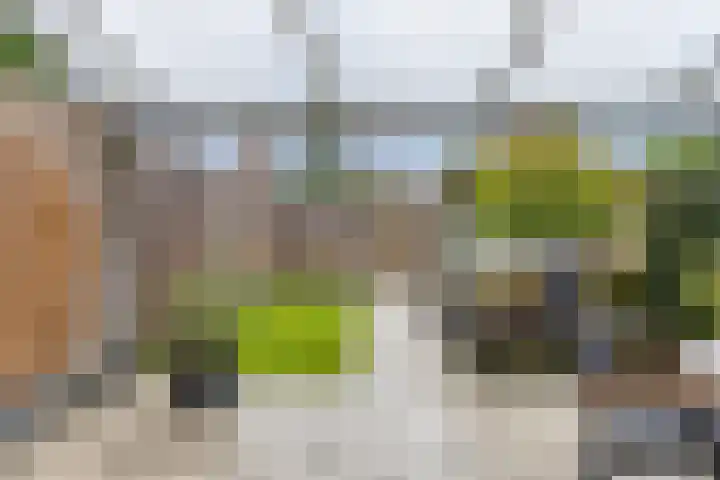 Servaashof 31 Helden thumbnail 31
