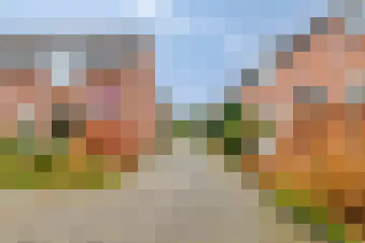 Servaashof 31 Helden thumbnail 36