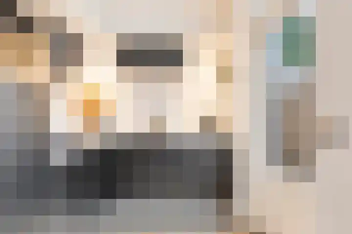 Servaashof 31 Helden thumbnail 4