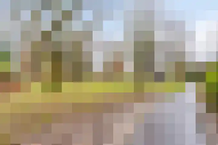 Servaashof 31 Helden thumbnail 42
