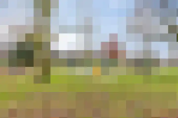 Servaashof 31 Helden thumbnail 43