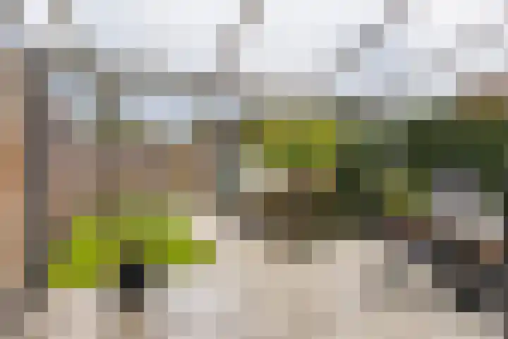 Servaashof 31 Helden thumbnail 5