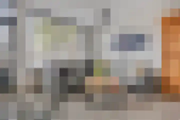Servaashof 32 Helden thumbnail 11