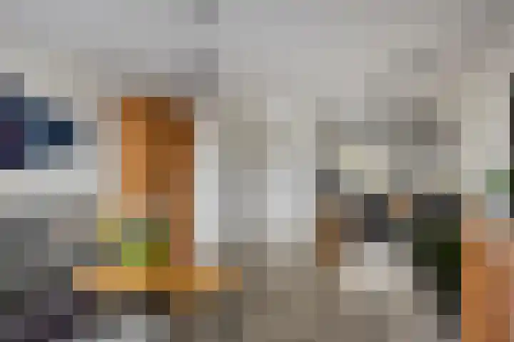 Servaashof 32 Helden thumbnail 12