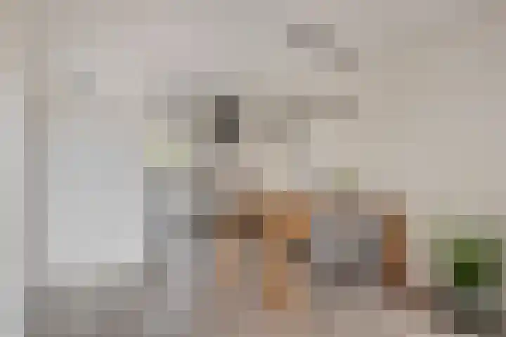 Servaashof 32 Helden thumbnail 13