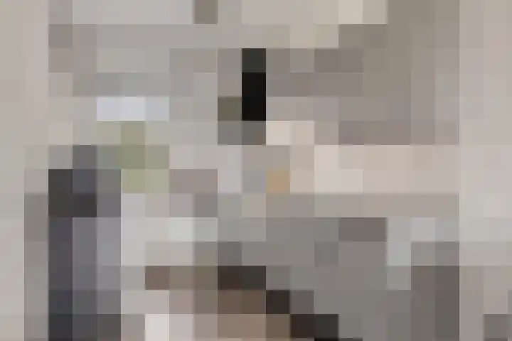 Servaashof 32 Helden thumbnail 14