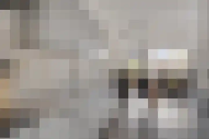 Servaashof 32 Helden thumbnail 15