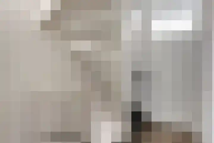 Servaashof 32 Helden thumbnail 16