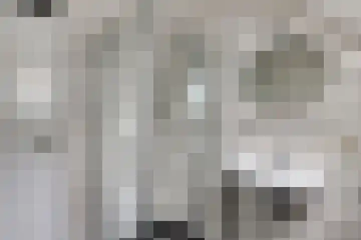 Servaashof 32 Helden thumbnail 20