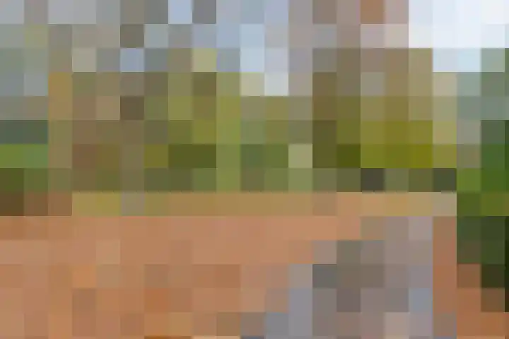Servaashof 32 Helden thumbnail 32