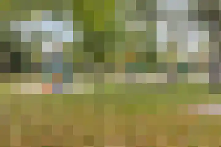 Servaashof 32 Helden thumbnail 33