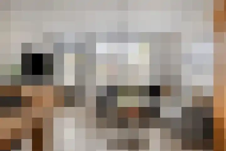 Servaashof 32 Helden thumbnail 9
