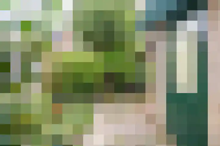 Servatiusstraat 10 Zoeterwoude thumbnail 17