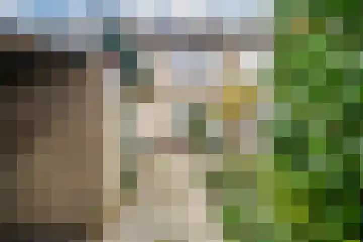 Servatiusstraat 10 Zoeterwoude thumbnail 19