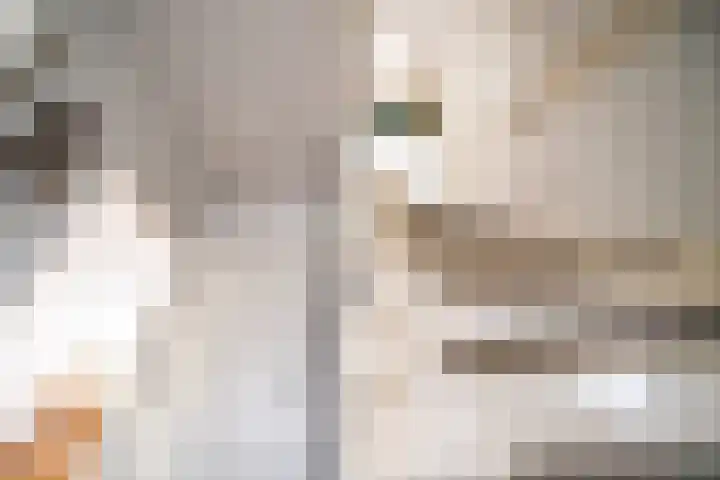 Servatiusstraat 10 Zoeterwoude thumbnail 31