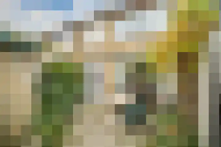 Servatiusstraat 10 Zoeterwoude thumbnail 4
