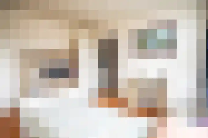 Servatiusstraat 10 Zoeterwoude thumbnail 45