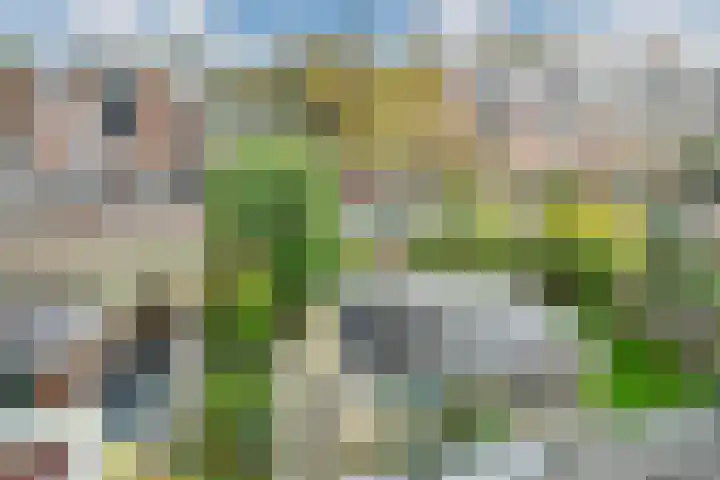 Servatiusstraat 10 Zoeterwoude thumbnail 47