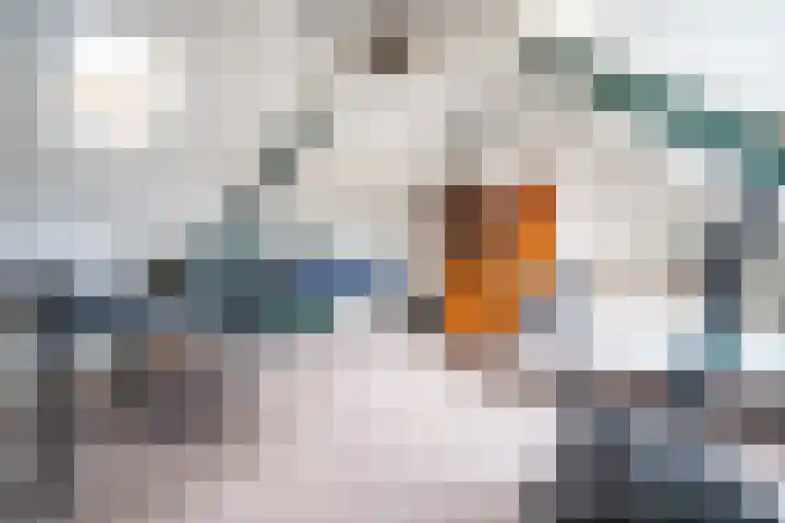 Servatiusstraat 10 Zoeterwoude thumbnail 49