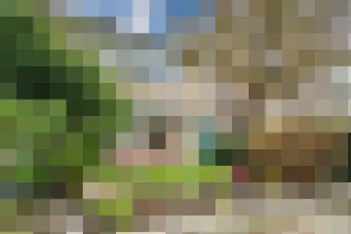 Servatiusstraat 10 Zoeterwoude thumbnail 53