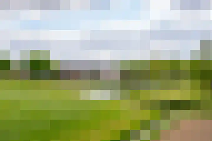 Servatiusstraat 10 Zoeterwoude thumbnail 58