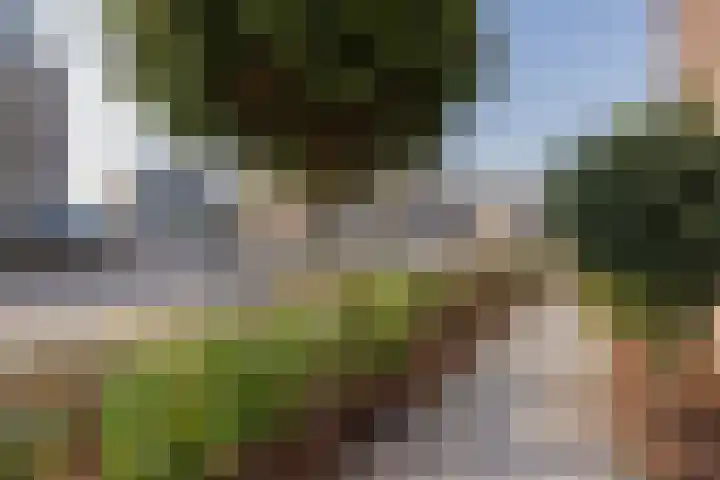 Servatiusstraat 10 Zoeterwoude thumbnail 60