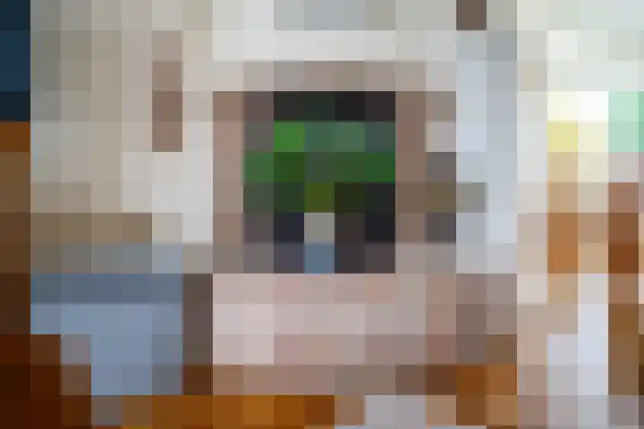 Servatiusstraat 10 Zoeterwoude thumbnail 8