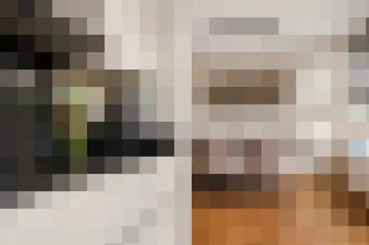 Servatiusstraat 15 Zoeterwoude thumbnail 11