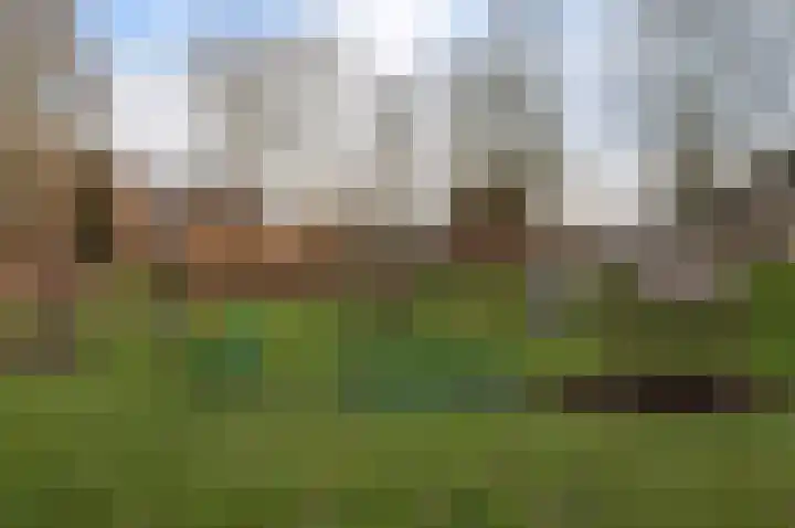 Servatiusstraat 15 Zoeterwoude thumbnail 34