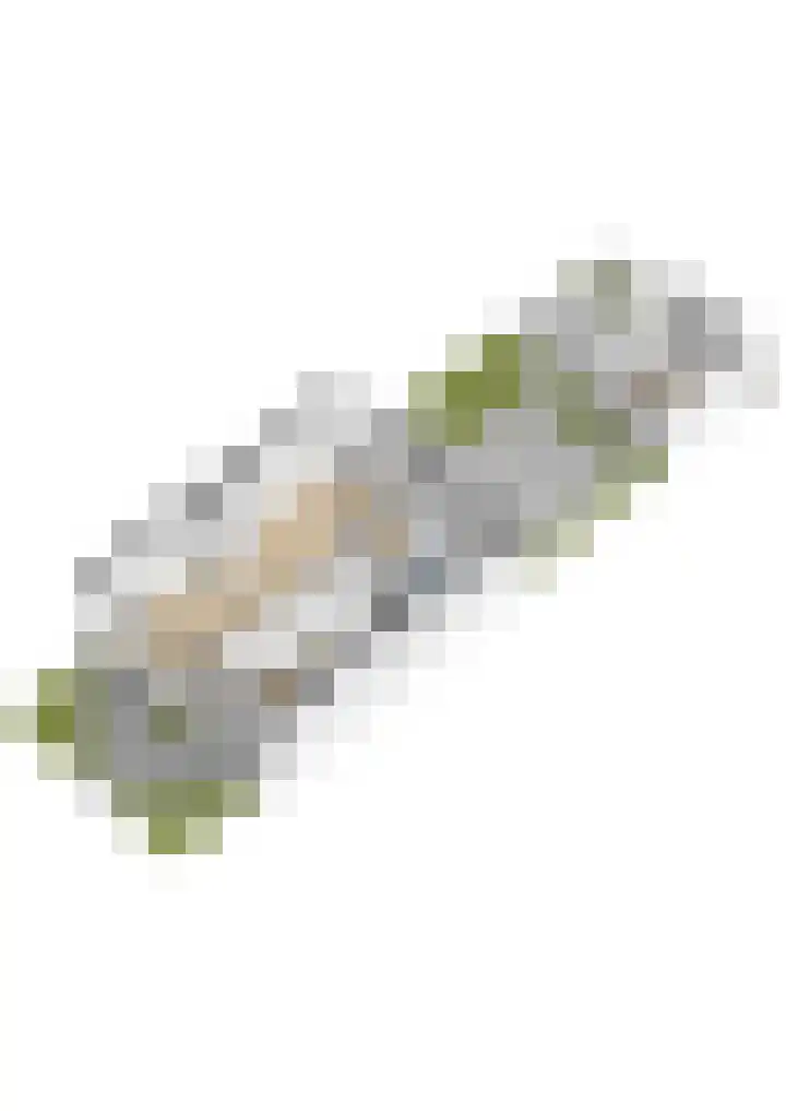 Servatiusstraat 15 Zoeterwoude thumbnail 43