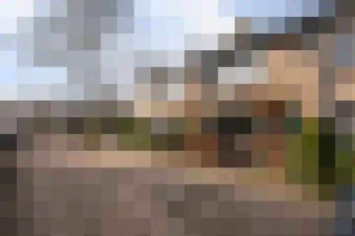Servatiusstraat 15 Zoeterwoude thumbnail 5