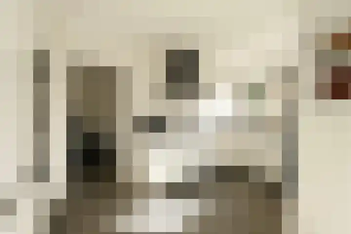 Severinusstraat 21 Grathem thumbnail 15