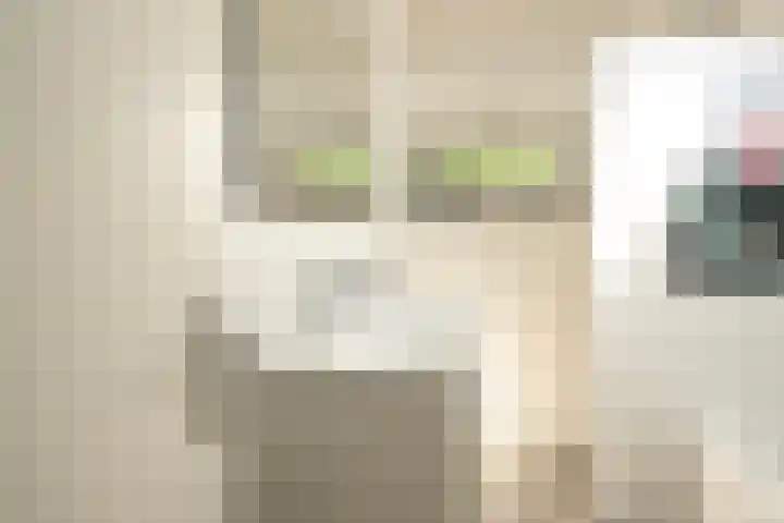 Severinusstraat 21 Grathem thumbnail 19