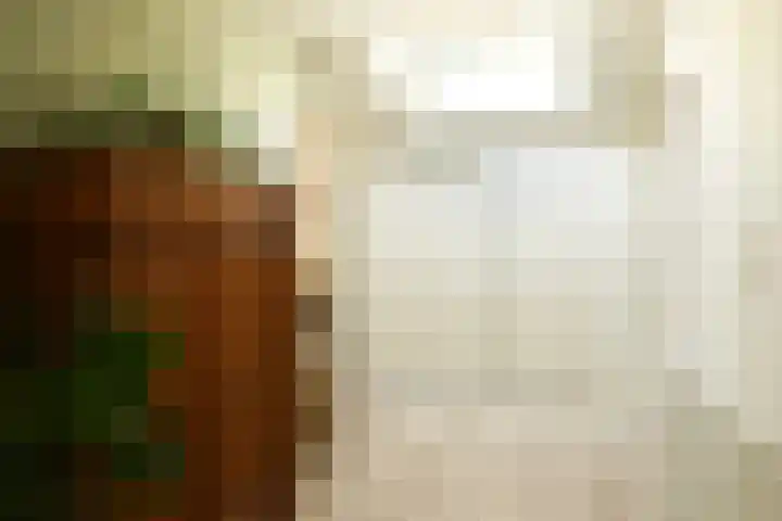 Severinusstraat 21 Grathem thumbnail 25