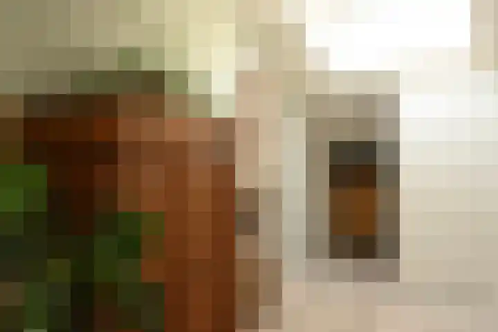 Severinusstraat 21 Grathem thumbnail 26