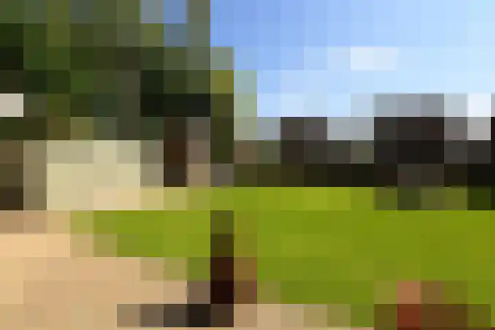 Severinusstraat 21 Grathem thumbnail 33