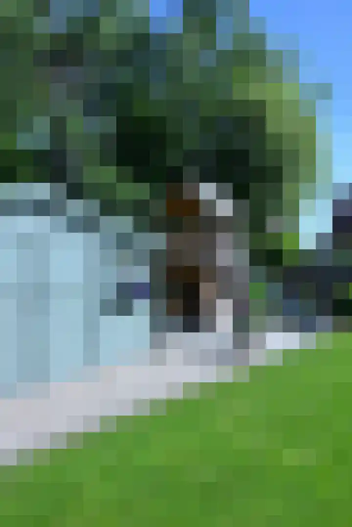 Severinusstraat 21 Grathem thumbnail 34