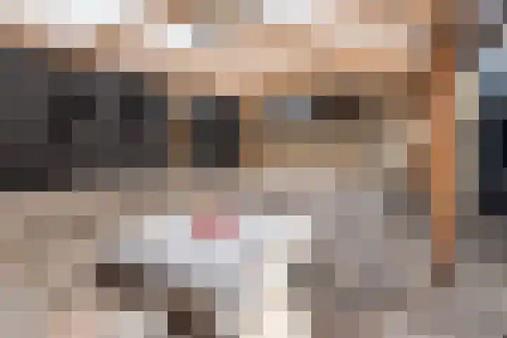 Severushof 2 Beuningen Gld thumbnail 14