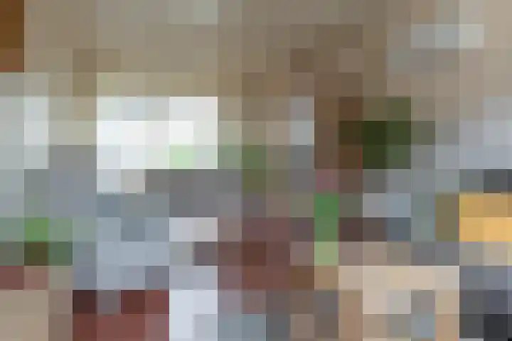 Severushof 2 Beuningen Gld thumbnail 16