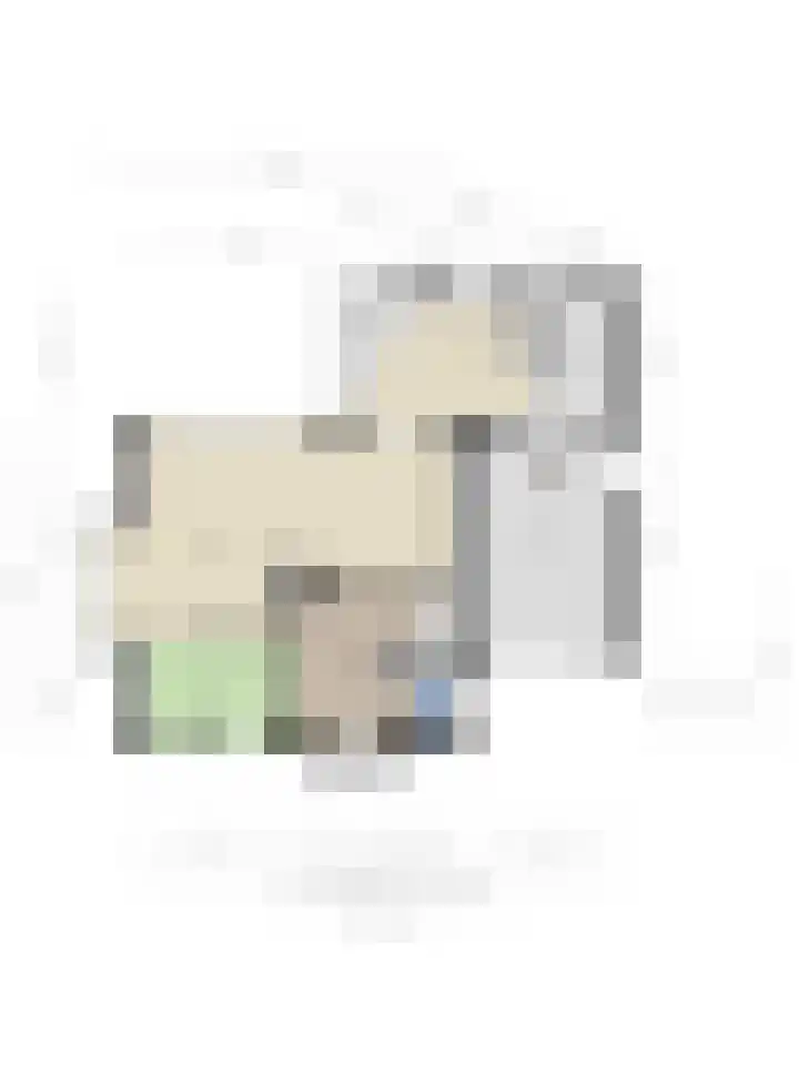 Severushof 2 Beuningen Gld thumbnail 22
