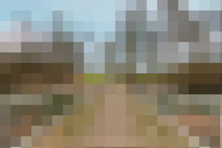 Severushof 2 Beuningen Gld thumbnail 52
