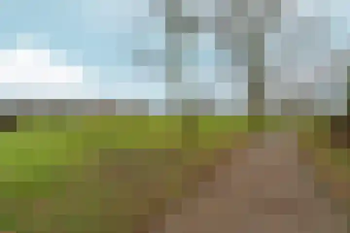 Severushof 2 Beuningen Gld thumbnail 53