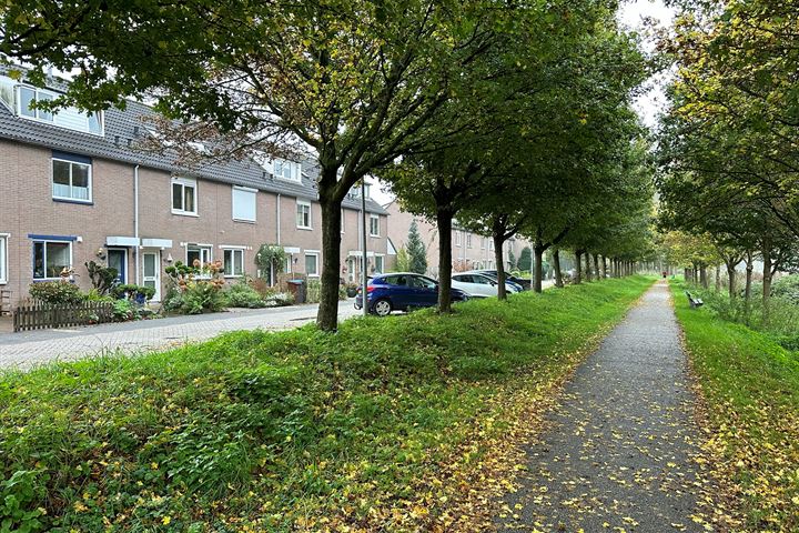 Seychellen 42 in Utrecht foto