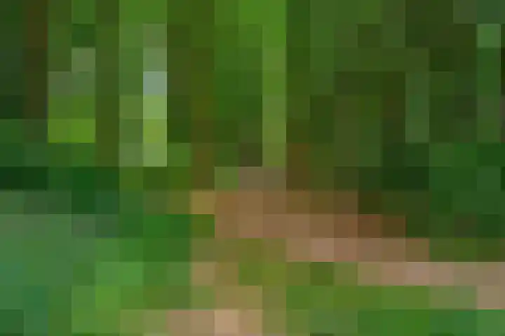 Seytweg 39 Arnhem thumbnail 4