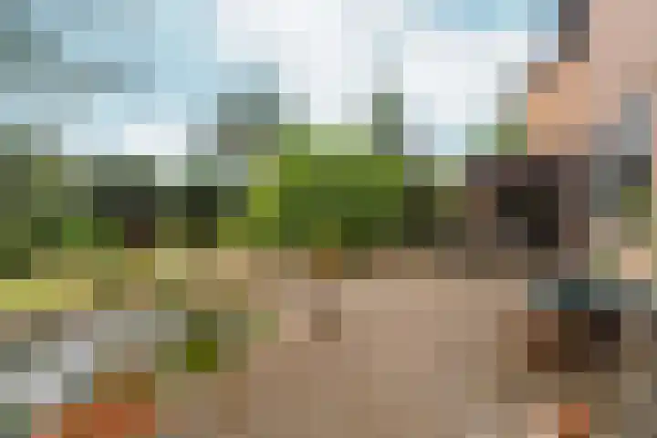 Seytweg 39 Arnhem thumbnail 42